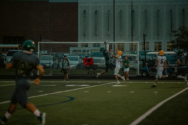 Guía esencial: consejos clave para adquirir un loro de forma segura y responsable